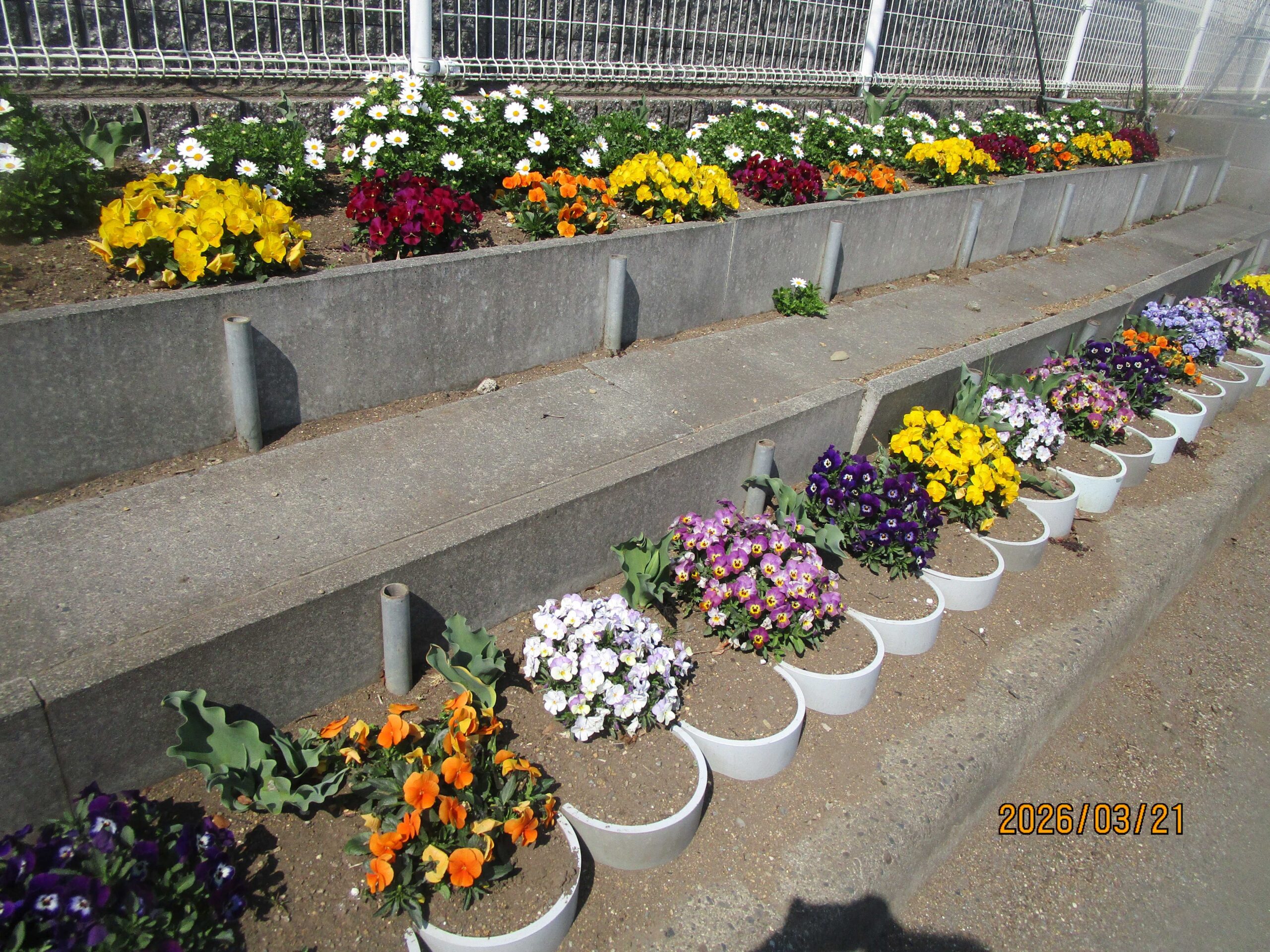 交流センターの花壇